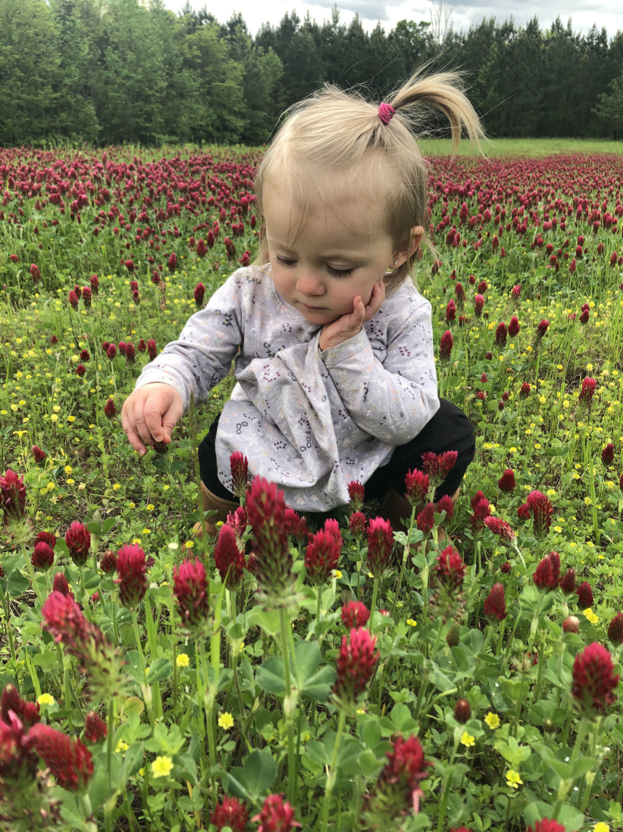 Ella Louise Moore